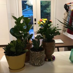 Meet your Posher, Sheena